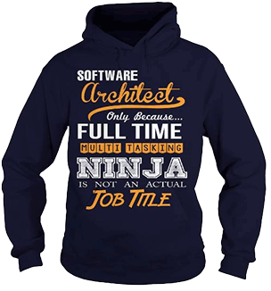 Software Architect